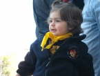 Falla del cole, PlayBacks